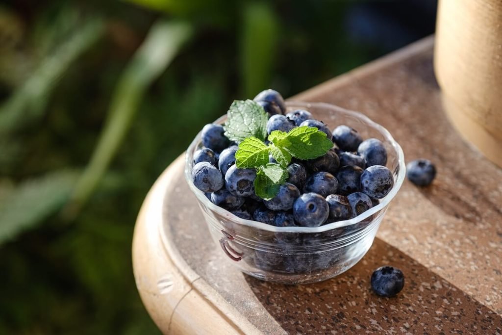 Fresh blueberries for anti-aging smoothies rich in antioxidants